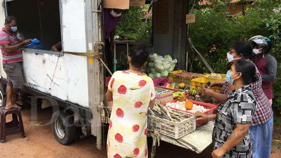 Lorries carrying vegetables