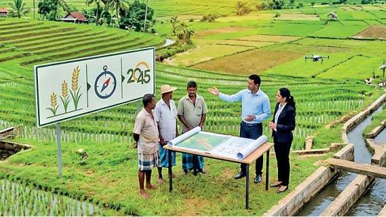 From Import Dependency to Food Security