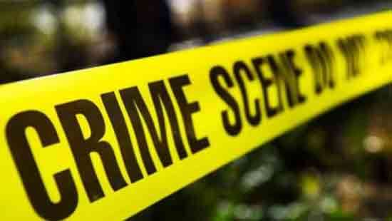 Girl and brother hacked to death in Wennappuwa