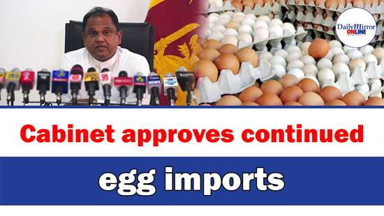 Cabinet approves continued egg imports