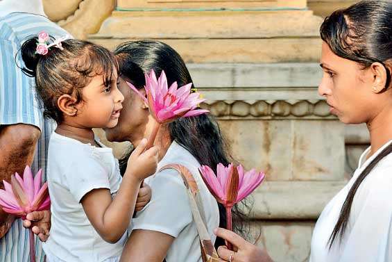 Religious observances by devotees at Kelani Viharaya