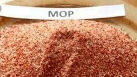 Cabinet paper submitted to reduce price of Muriate of Potash by 50%