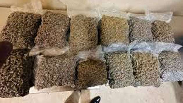 Three nabbed with ‘Kush’ cannabis worth Rs. 160 mn