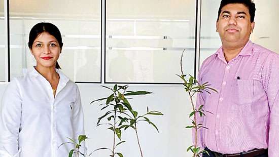 News Publisher pledges to plant a tree for every new client