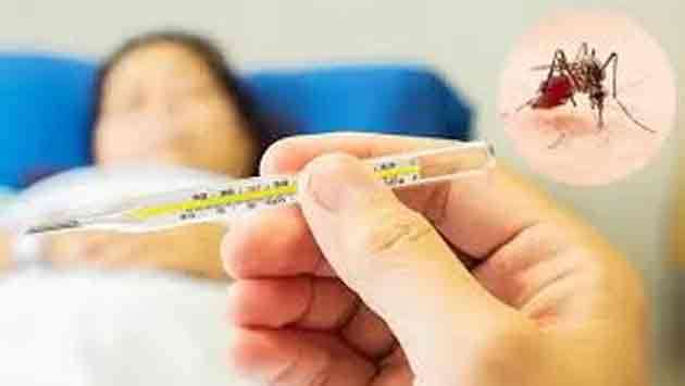 Sri Lanka battles surge in dengue, chikungunaya