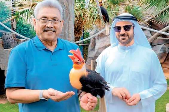 Gota at Fame Park, UAE