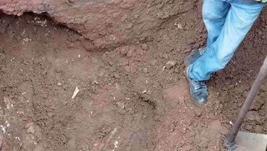 Decapitated skeleton near Colombo Fort Does the discovery link to Sri Lanka’s dark past?