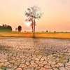 The Super El Niño is Not a Prophecy of Doom. It is a Deadline.