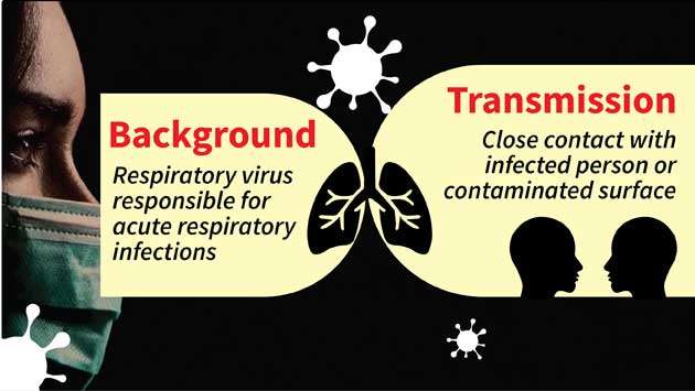 Human metapneumovirus (HMPV)