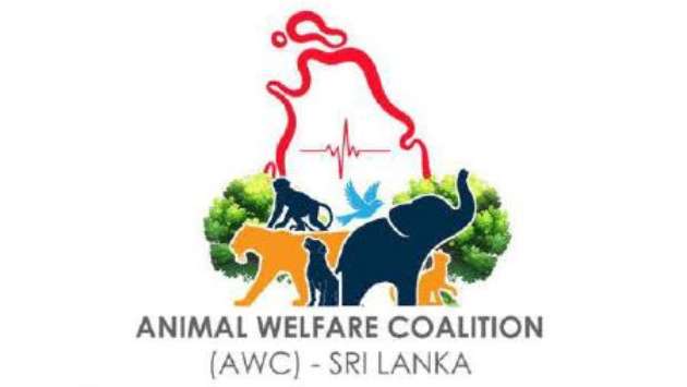 Animal Welfare Coalition urges WHO to intervene in Sri Lanka’s rabies eradication efforts