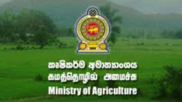 Rs. 2.4 Mn spent on printing documents for wild animal census - Ministry