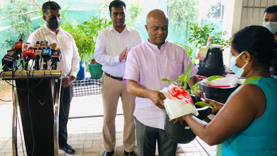 Distribution of seeds and plants...