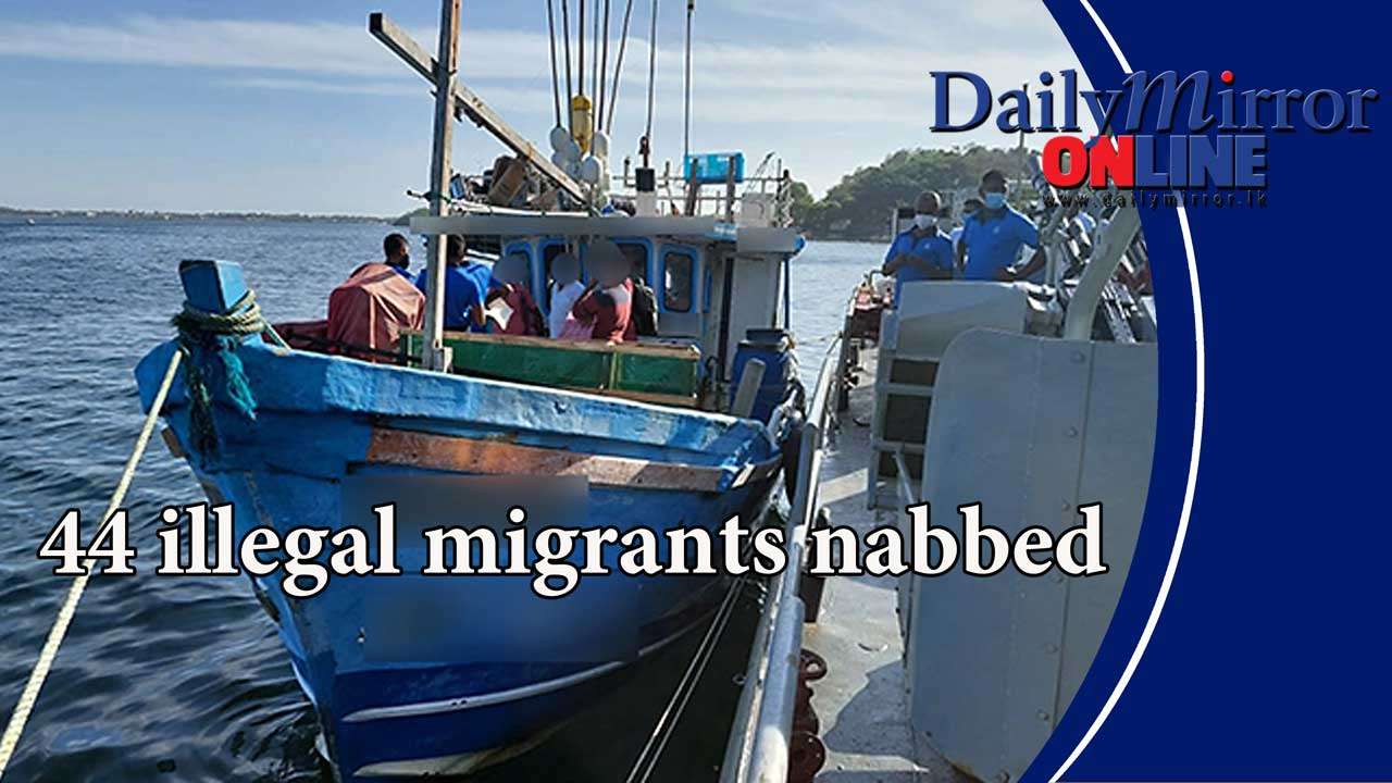 44 illegal migrants nabbed