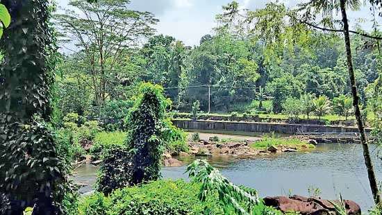 Nefarious activities leave Gin Ganga