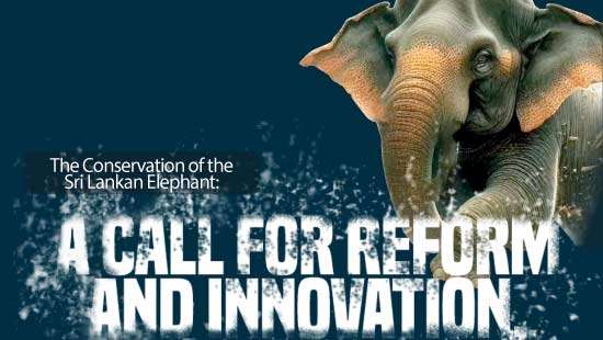 The Conservation of the  Sri Lankan Elephant: A  Call  For Reform and Innovation
