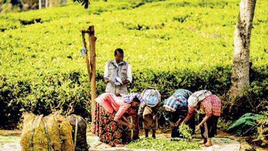 Debt restructuring overwhelms the poor: Crisis, Production and the Co-operative Alternative