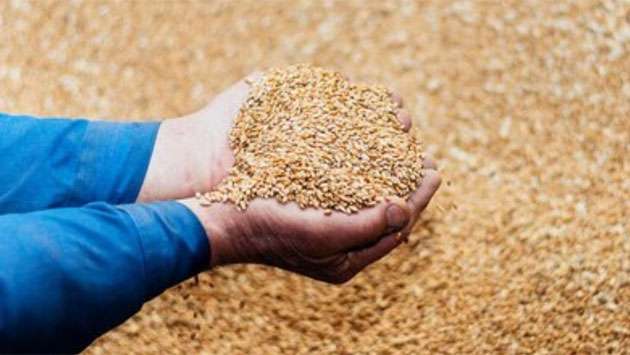 Govt. announces paddy purchase prices