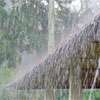 Thundershowers forecast for Northern, North-Central, Eastern Provinces, Matale today