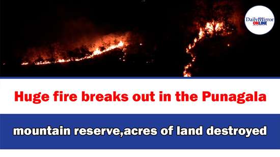 Huge fire breaks out in the Punagala mountain reserve,acres of land destroyed