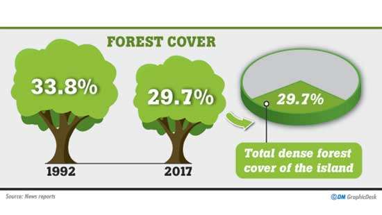 Deforestation: The face of devastation