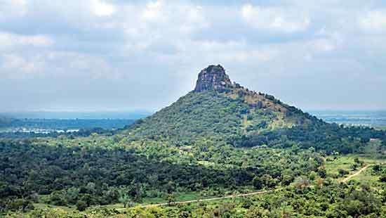 ‘Thoppigala’ excursion Adventure climb in Batti