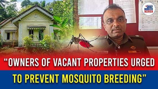 “Owners of vacant properties urged to prevent mosquito breeding”