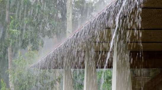 Showers, strong winds forecast across several parts