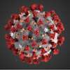 Eight COVID-19 patients identified today