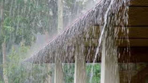 Dry weather to ease as showers, strong winds forecast: Met Department