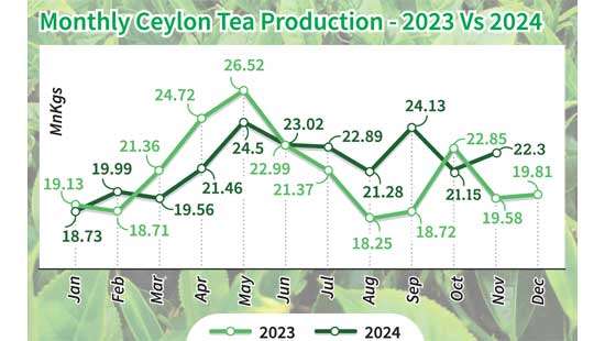 November tea production expands 12.7% YoY