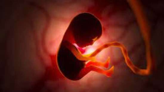 Scientists create synthetic human embryos from stem cells, without an egg or sperm