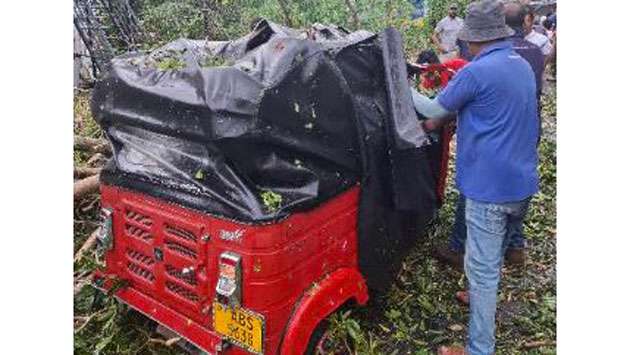 Sudden downpour in Pallekele causes several trees to fall