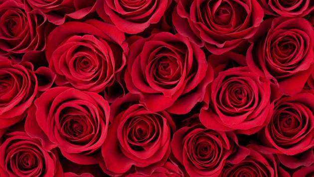 Valentine’s Day: What Sri Lankans Should Know About Its History and Celebration