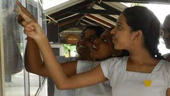 GCE Ordinary level exam results released