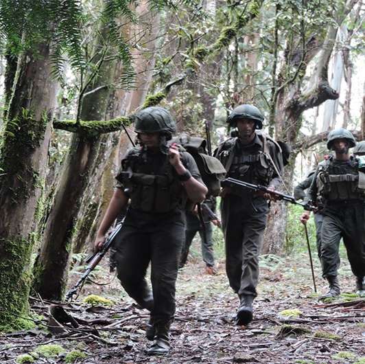 Soldier mauled to death by wild elephant during training