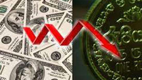 Sri Lankan rupee falls slightly against USD