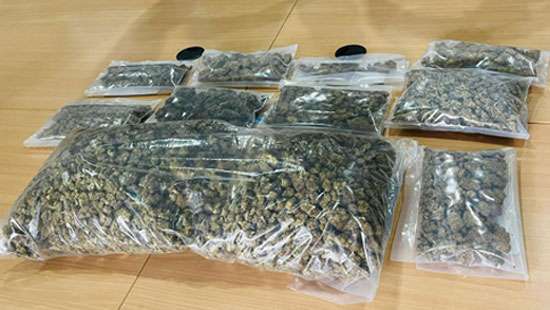 Kush worth Rs.23.8Mn seized at Central Mail Exchange