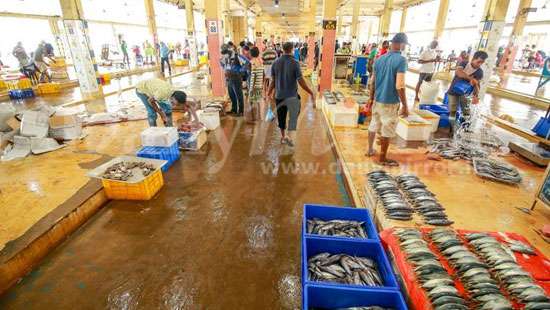 Peliyagoda Fish Market back in operation