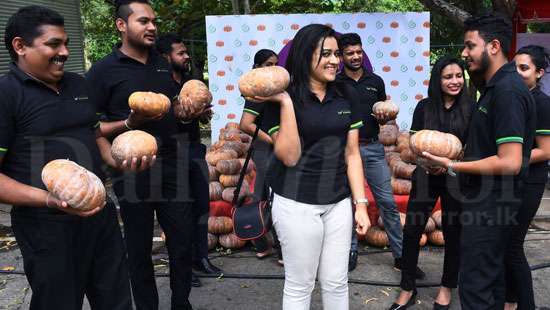 Pumpkin farmers festival at Green Path