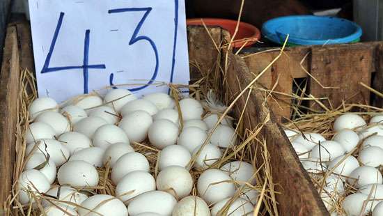 Vendors stick to selling eggs at retail price