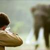 Probe launched into possible organised network behind elephant shootings