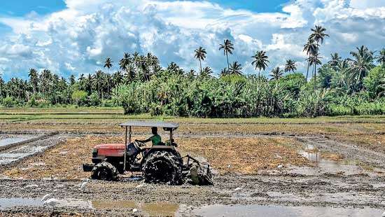 Fertiliser fiasco