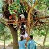 Family found living in treehouse due to lack of permanent home