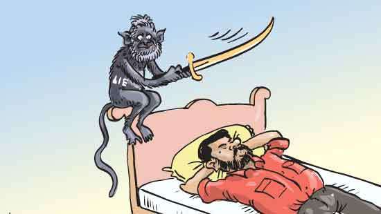 Monkeying around with truth and transparency
