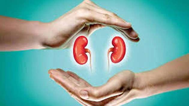 Kidney diseases claim 1,600 lives annually