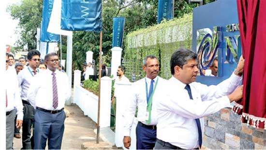 Nebula Institute drives transformative educational shift
