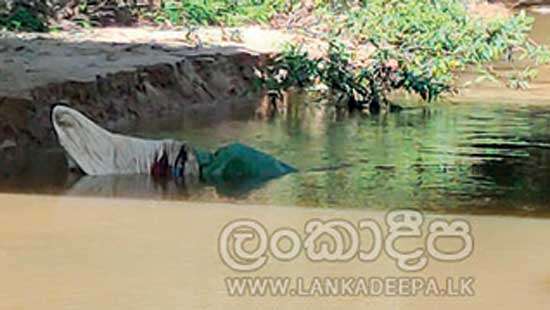 Woman killed and dumped in canal teeming with crocodiles