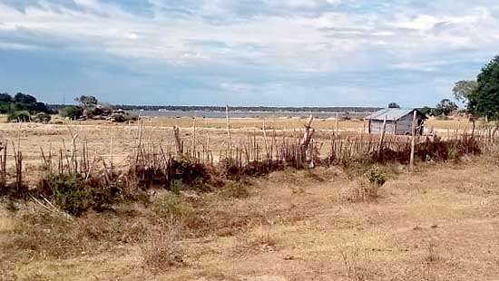 Over 200 acres of forest in Ampara  destroyed Radalla and Kumbukkan forest reserves near Pottuvil and Lahugala at high risk