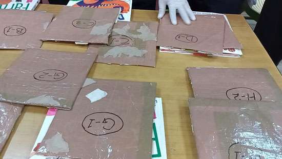 Indonesian female nabbed with Cocaine worth Rs.230mn