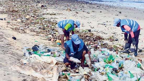 Clean Ocean Force successfully completes first year leaving many WP beaches cleaner, safer